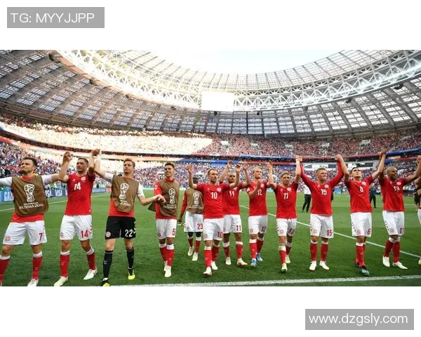 2019年瑞典与丹麦足球比赛比分预测及分析展望 2019年瑞典与丹麦足球比赛比分预测及分析展望