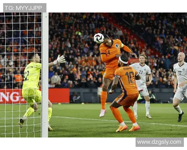 荷兰与匈牙利篮球赛精彩对决回顾与分析