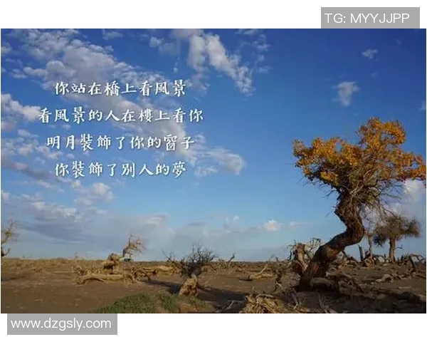 极限运动的成功秘诀李强分享他的心路历程与挑战故事MBA