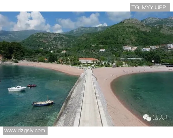 雷斯与阿里安曼的精彩对决分析及赛前预测展望