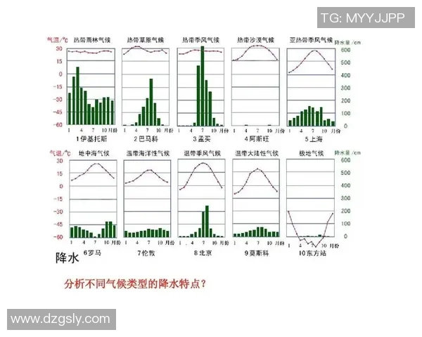 LNG战队快攻策略的成功与失败分析及其对比赛结果的影响 LNG战队快攻策略的成功与失败分析及其对比赛结果的影响