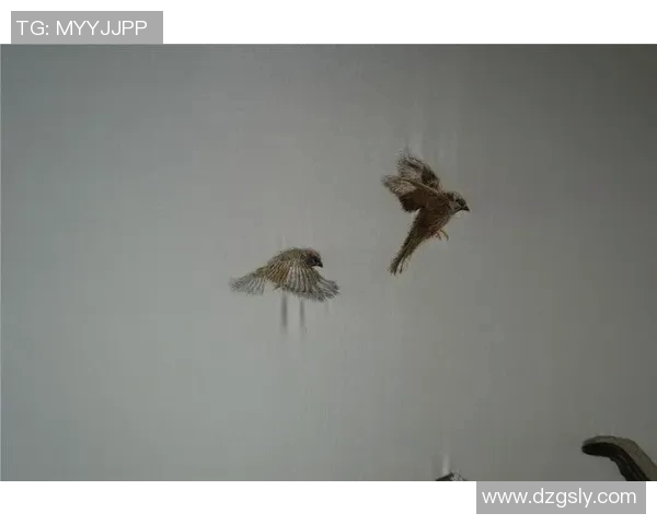 徐昕的艺术之路:从初心到巅峰的探索与追求 徐昕的艺术之路:从初心到巅峰的探索与追求