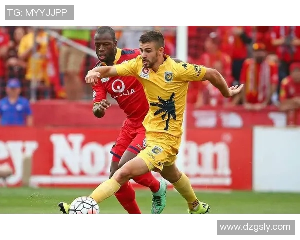 惠灵顿凤凰与悉尼FC阵容分析及比赛前瞻探讨 惠灵顿凤凰与悉尼FC阵容分析及比赛前瞻探讨