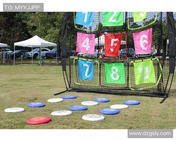 飞盘盛宴：深入探讨杭州飞盘队的默契配合与战术策略MBA