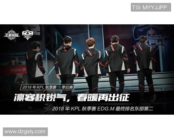 EDG职业联赛崛起之路：从默默无闻到巅峰荣耀的成长历程