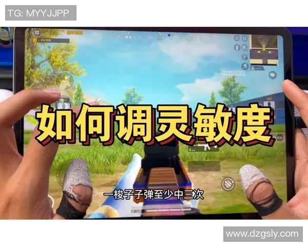 对话李敏：探索和平精英职业生涯的挑战与成就