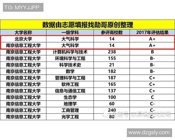 飞盘耐力实力榜单权威发布揭示顶尖选手实力与潜力分析